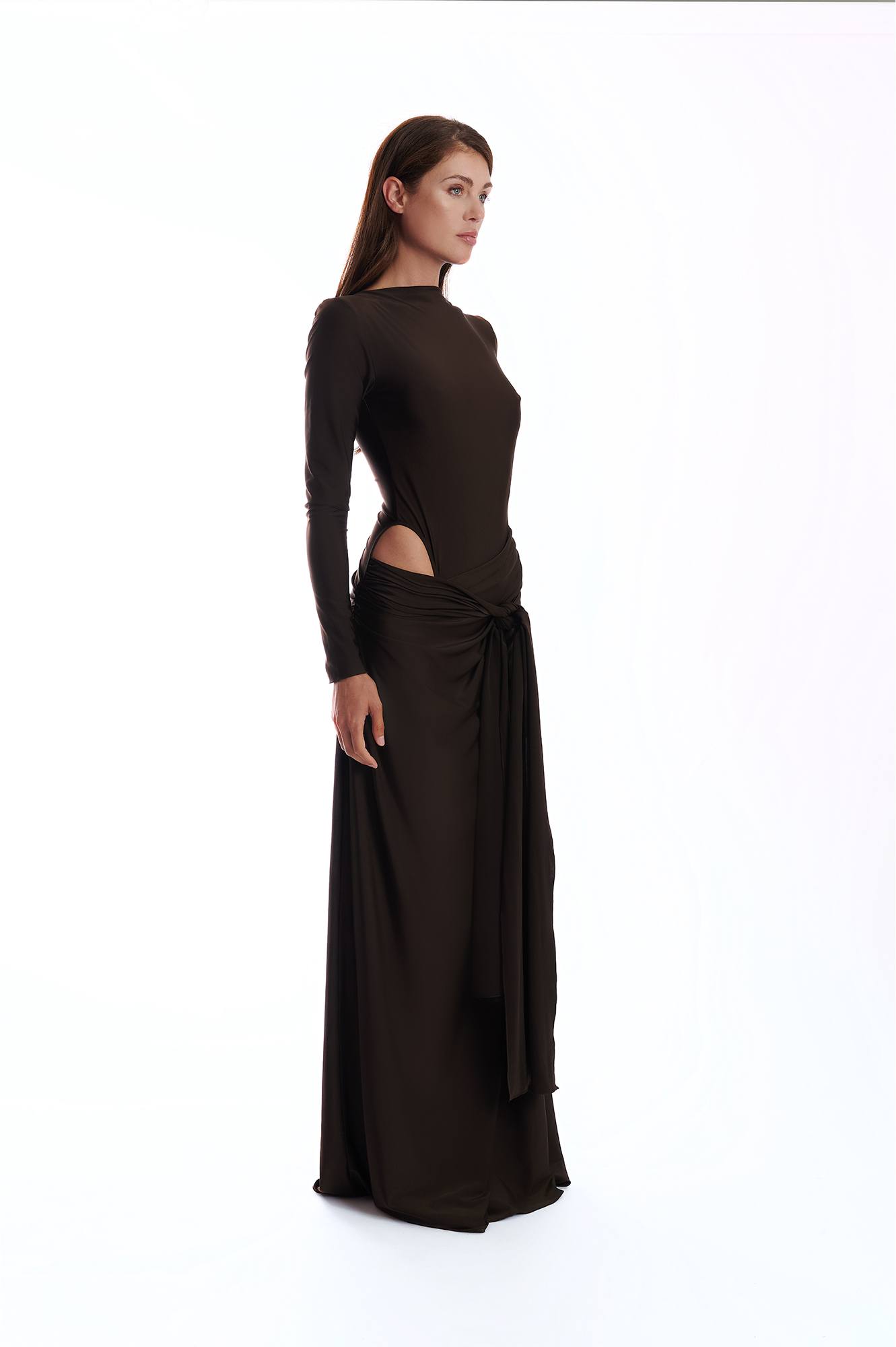 Brown rouge dress