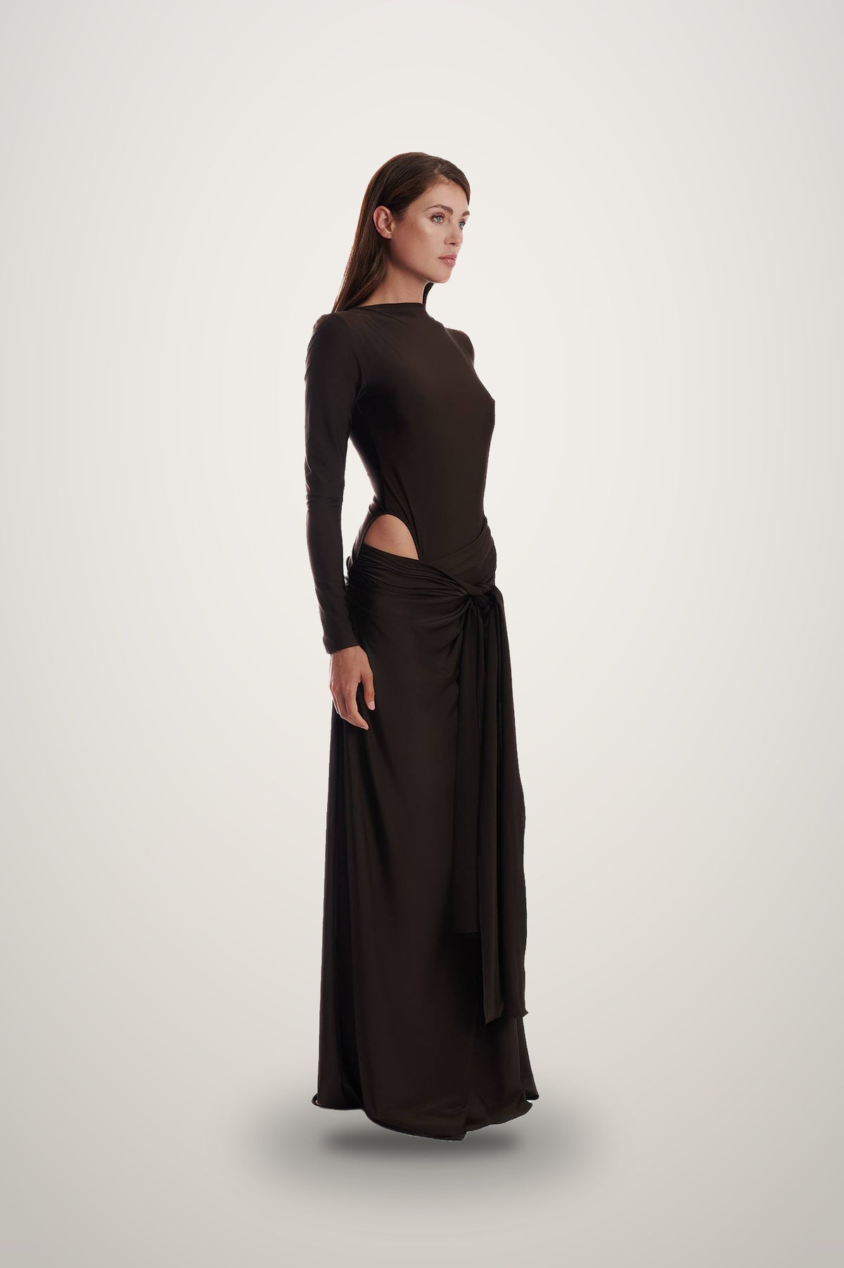 Brown Rouge Dress