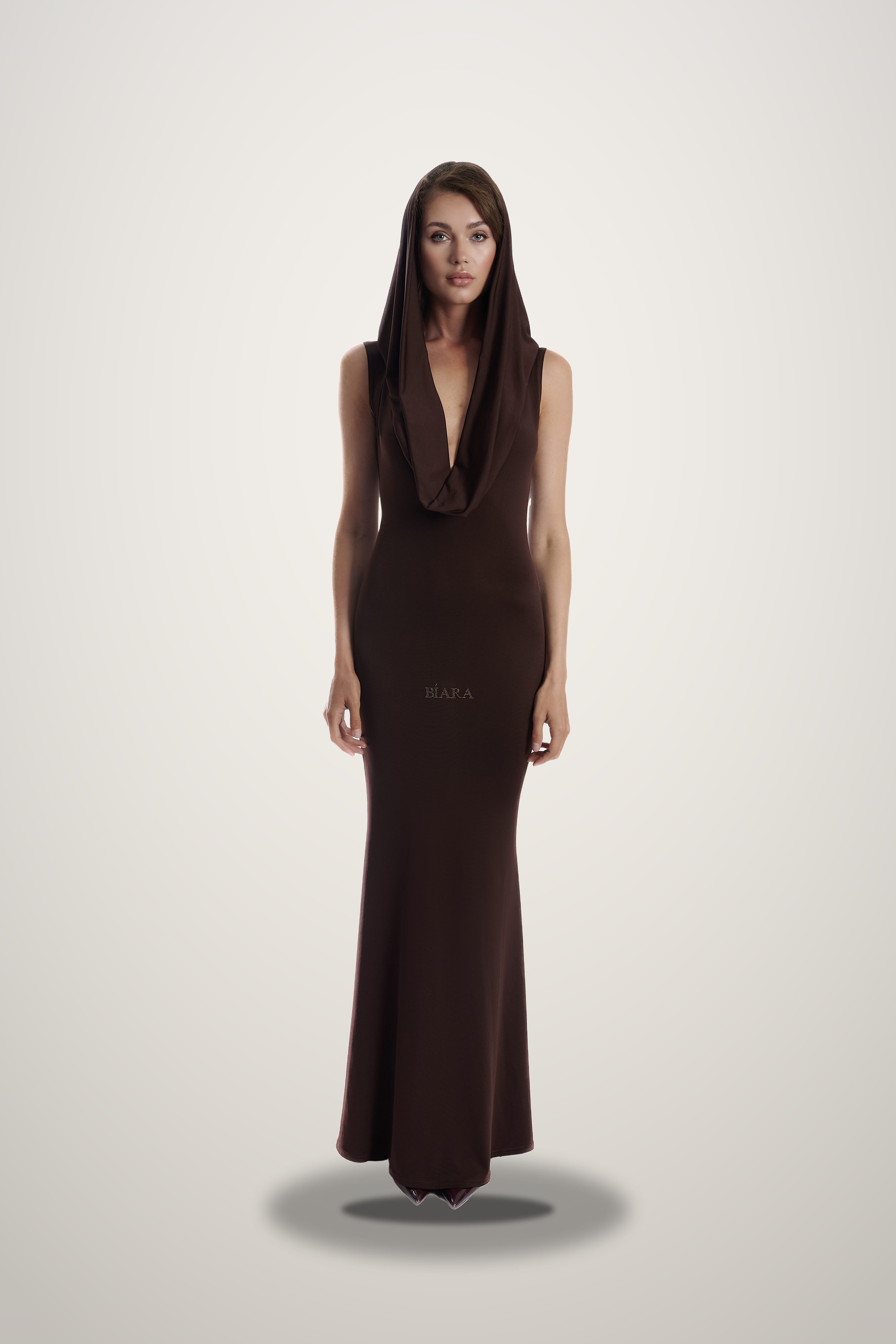 Faena Dress in brown